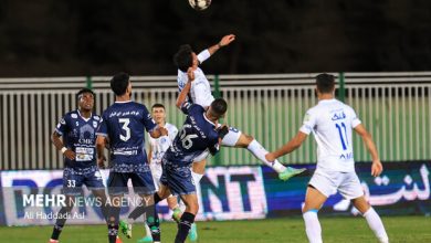 انتقاد از کیفیت پایین لیگ برتر فوتبال/ ناچاریم از قلعه‌نویی حمایت کنیم